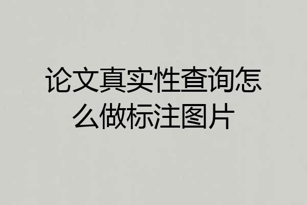 论文真实性查询怎么做标注图片