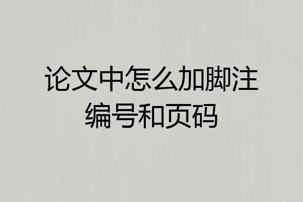 论文中怎么加脚注编号和页码