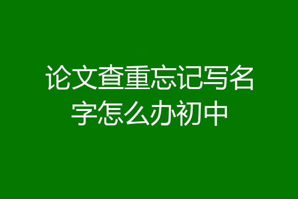 论文查重忘记写名字怎么办初中