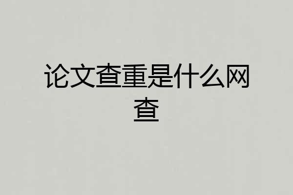 论文查重是什么网查