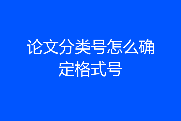 论文分类号怎么确定格式号