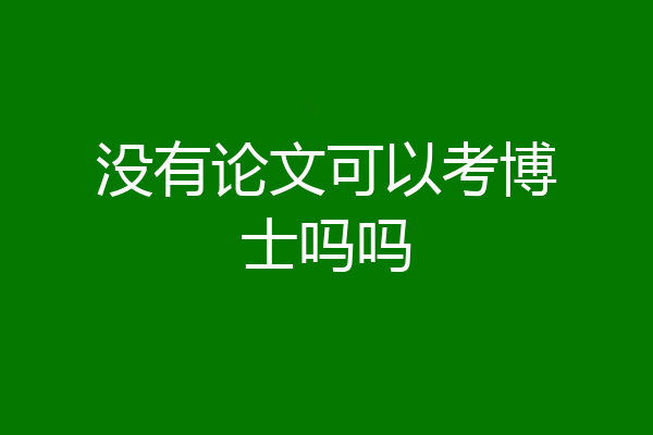 没有论文可以考博士吗吗