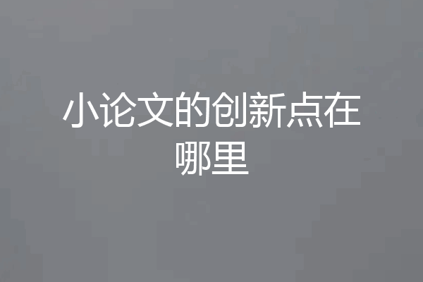 小论文的创新点在哪里