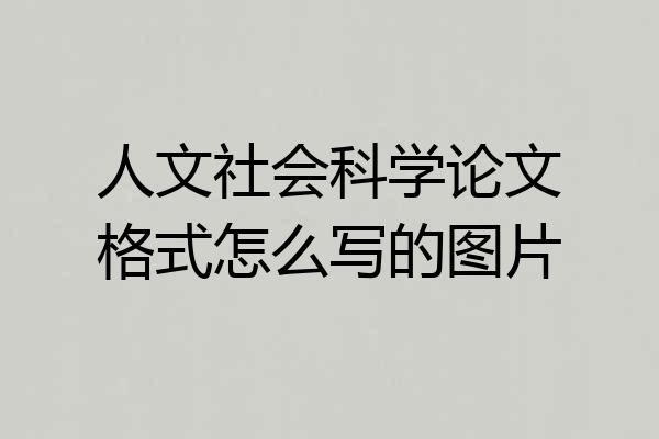 人文社会科学论文格式怎么写的图片