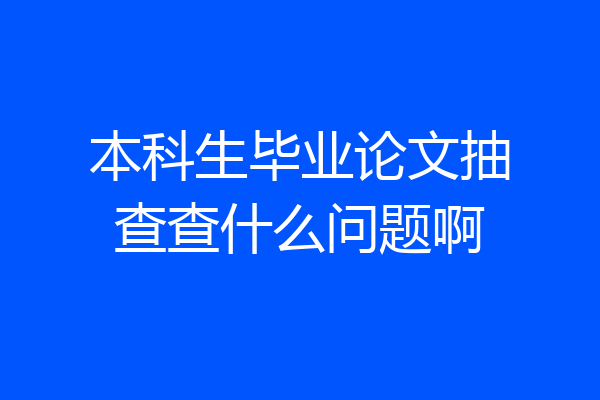 本科生毕业论文抽查查什么问题啊
