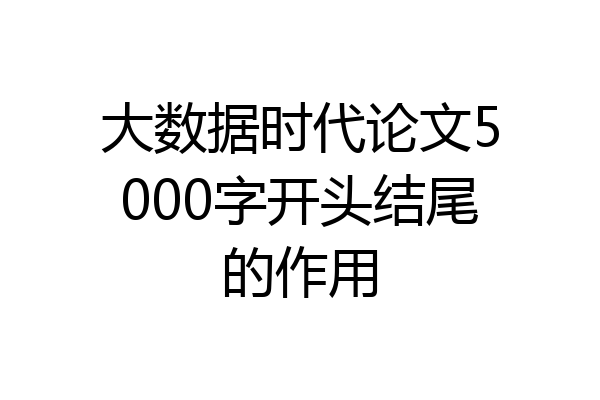 大数据时代论文5000字开头结尾的作用