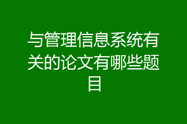与管理信息系统有关的论文有哪些题目