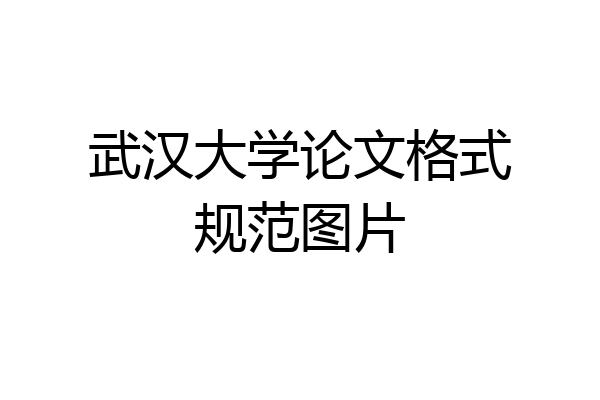 武汉大学论文格式规范图片