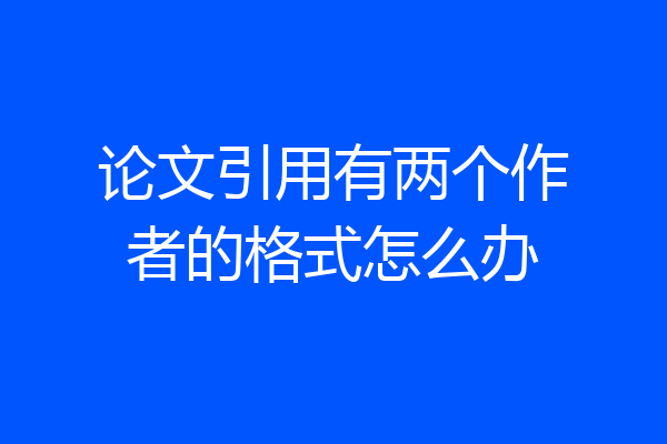 论文引用有两个作者的格式怎么办