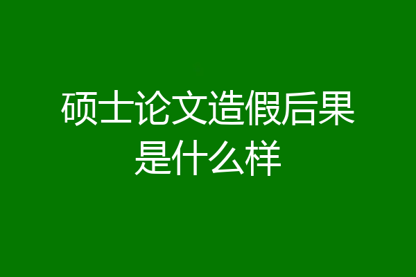 硕士论文造假后果是什么样