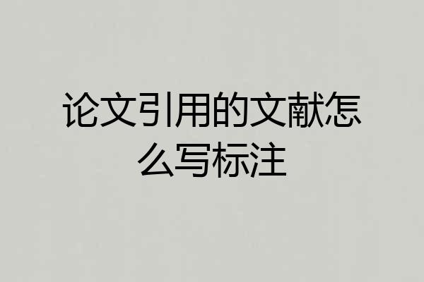 论文引用的文献怎么写标注