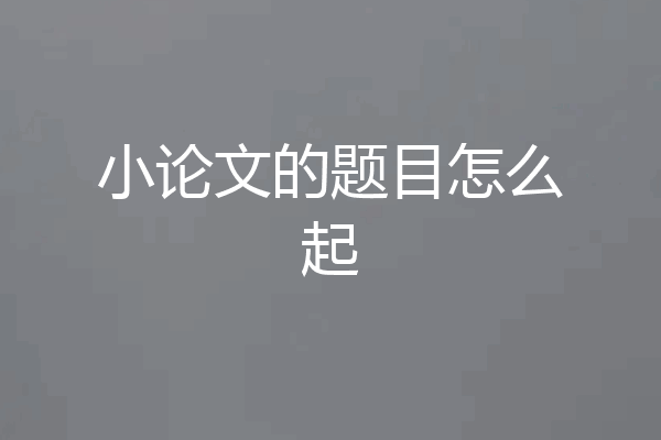 小论文的题目怎么起
