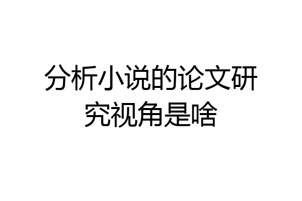 分析小说的论文研究视角是啥
