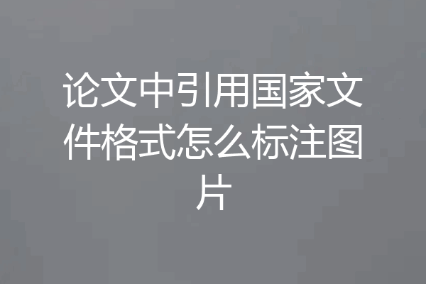 论文中引用国家文件格式怎么标注图片