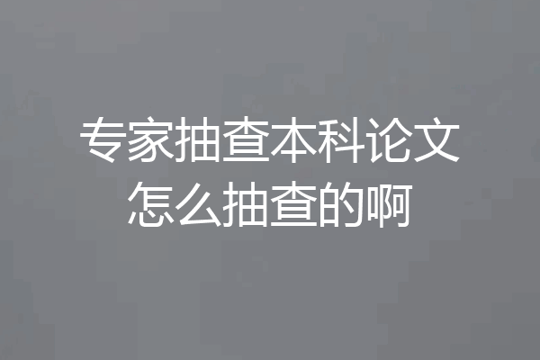 专家抽查本科论文怎么抽查的啊