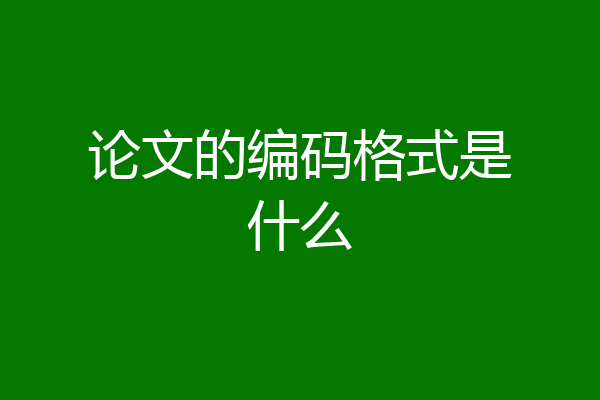 论文的编码格式是什么