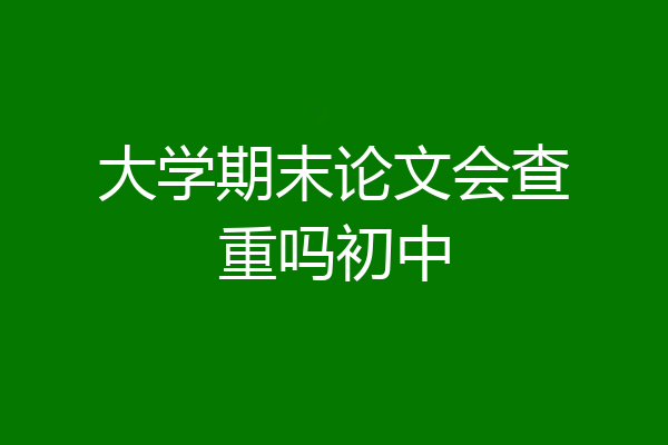 大学期末论文会查重吗初中