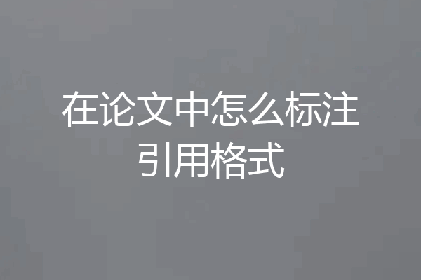 在论文中怎么标注引用格式