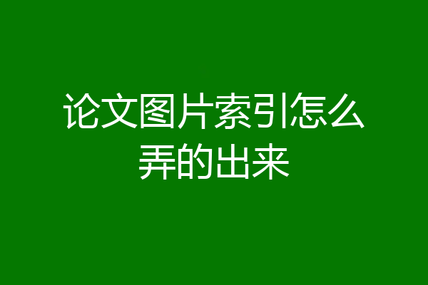 论文图片索引怎么弄的出来