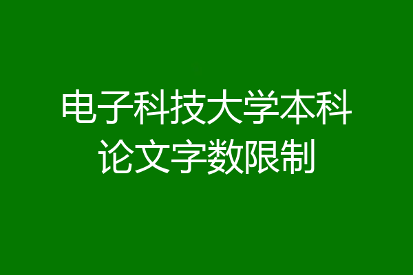 电子科技大学本科论文字数限制