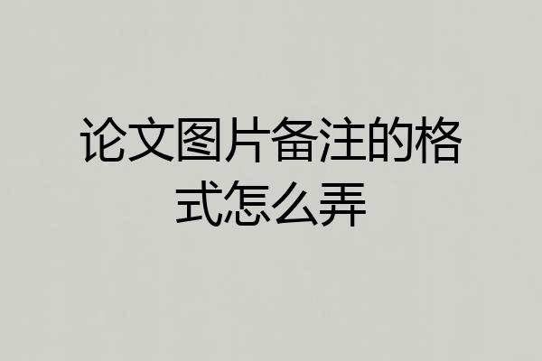 论文图片备注的格式怎么弄