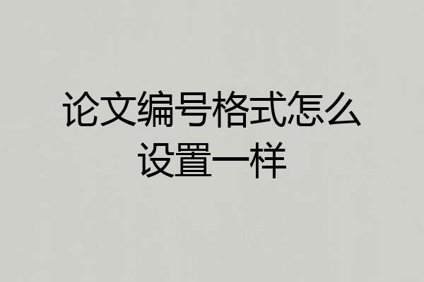 论文编号格式怎么设置一样