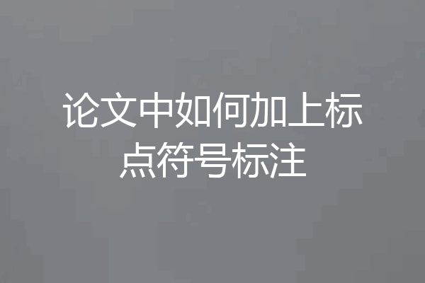 论文中如何加上标点符号标注