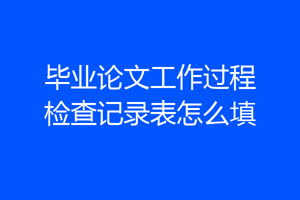 毕业论文工作过程检查记录表怎么填