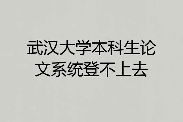武汉大学本科生论文系统登不上去