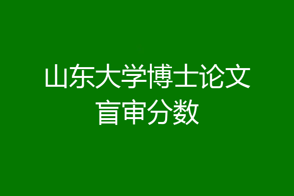 山东大学博士论文盲审分数