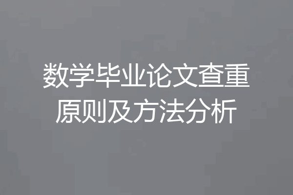 数学毕业论文查重原则及方法分析