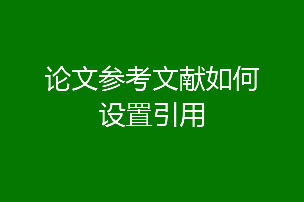 论文参考文献如何设置引用