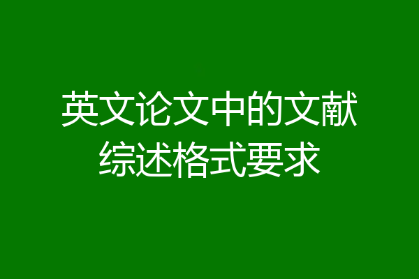 英文论文中的文献综述格式要求