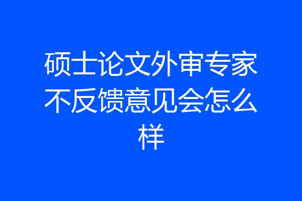 硕士论文外审专家不反馈意见会怎么样