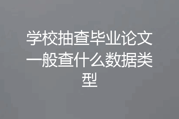 学校抽查毕业论文一般查什么数据类型