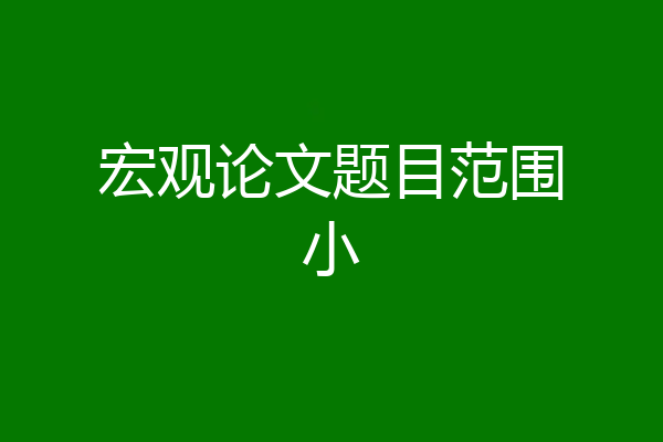 宏观论文题目范围小