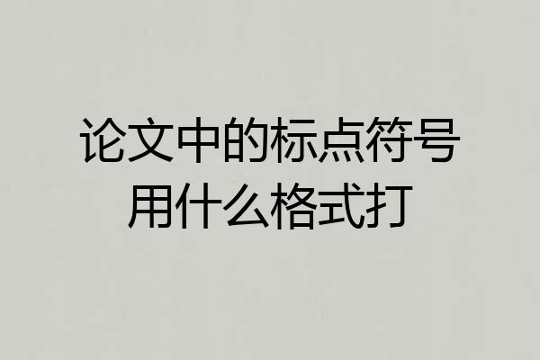 论文中的标点符号用什么格式打