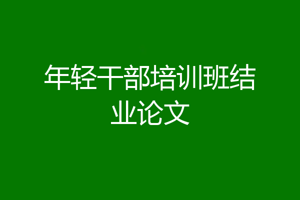 年轻干部培训班结业论文