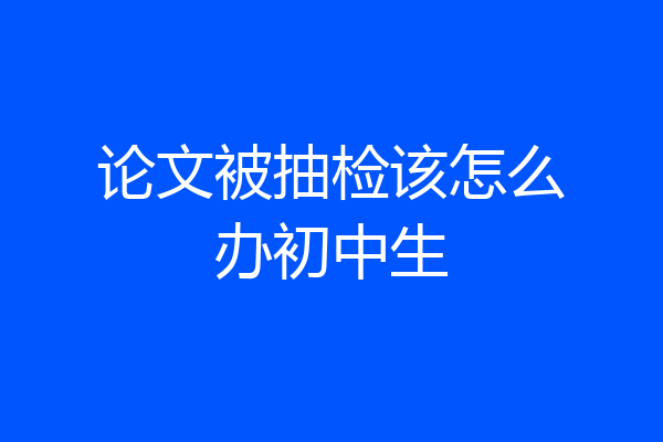 论文被抽检该怎么办初中生