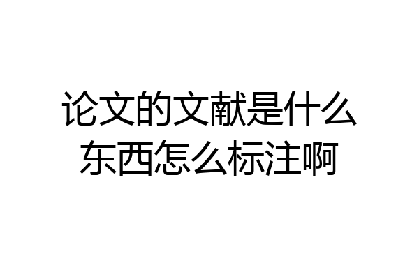 论文的文献是什么东西怎么标注啊