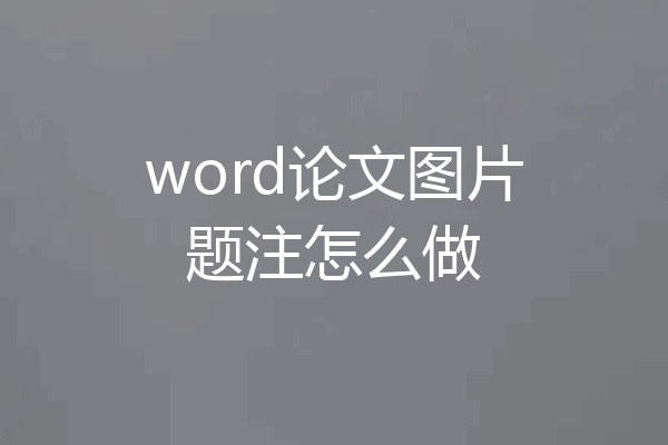 word论文图片题注怎么做