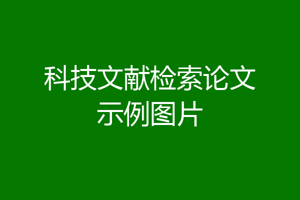 科技文献检索论文示例图片