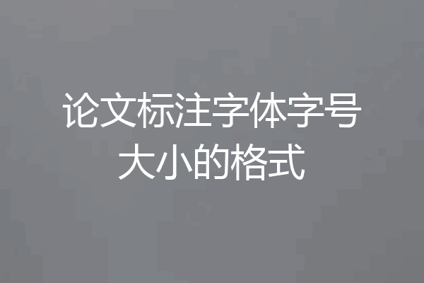 论文标注字体字号大小的格式