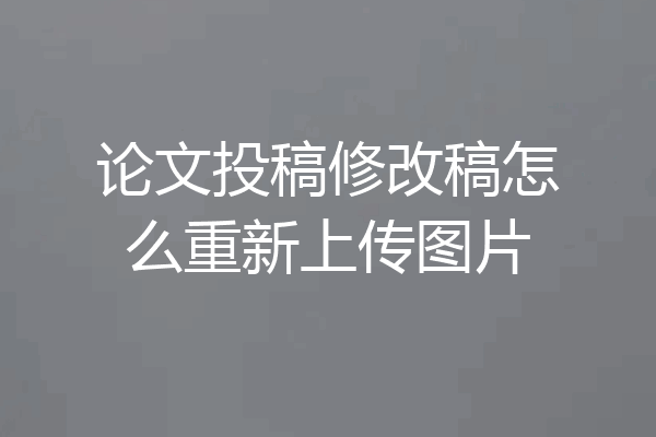 论文投稿修改稿怎么重新上传图片