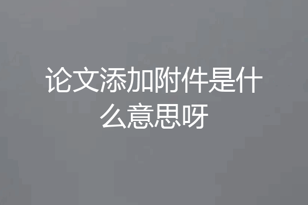 论文添加附件是什么意思呀