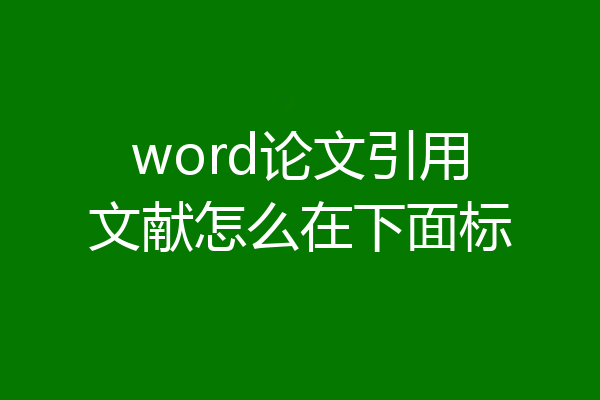 word论文引用文献怎么在下面标
