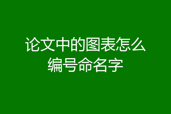 论文中的图表怎么编号命名字