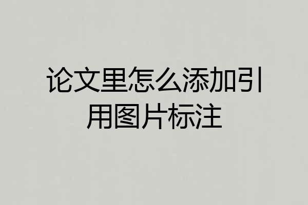 论文里怎么添加引用图片标注