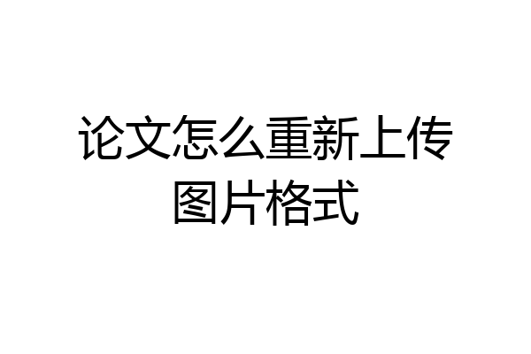 论文怎么重新上传图片格式