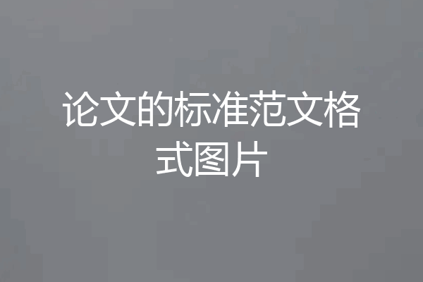 论文的标准范文格式图片